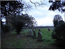 TQ2122 : St Peter's Church, Cowfold: churchyard (10) by Basher Eyre