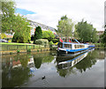 Trip Boats on the Avon