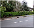 High Street name sign in a hedge, Stonehouse