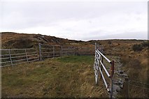 V8932 : Rough grazing and sheep - Lissacaha Townland by Mac McCarron