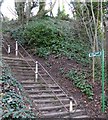 Steps for footpath to Purdown