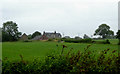 Pasture south-east of Leek, Staffordshire