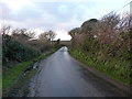 Along the lane towards Alsia Mill