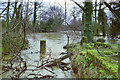 River Chelmer in flood, 1990