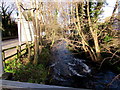 North along Nailsworth Stream, Inchbrook