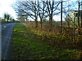 Looking west along Marches Road at footpath junction