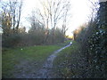 Path through the woods, Broad Colney