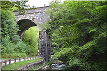 SK1072 : Railway Viaduct, Wye Dale by N Chadwick