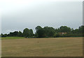 Farmland near Grove Farm