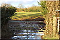 Muddy entrance to field, north of Twyn College