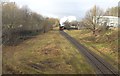 Flying Scotsman emerges from the bend, Bury