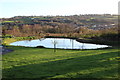 Pond at Waen-y-Coed, north of Pentwyn-mawr