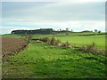 Fields next to Robin Hood Hill