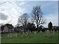 St John the Evangelist, Copthorne: churchyard (v)