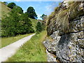 Rock outcrop and path in Wolfscote Dale