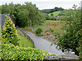 Lane and woodland near Leekbrook, Staffordshire