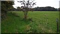 Bridleway to Water Bridge