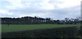 Fields over the Hedgerow - Bonis Hall Lane