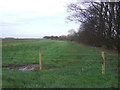 Farmland beside Marr Plantation