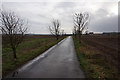 Carr Lane towards Magdalen Grange Farm