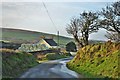 Trewern Farm Near Pontfaen