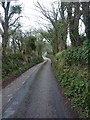 Newlyn Road near Trevider