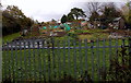 Pencoed allotments