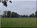 Field behind the churchyard at Fritwell