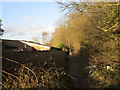 Path alongside Maltby Wood