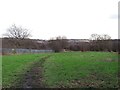 Unofficial footpath off Swinnow Lane