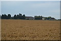 View towards Organswick Farm