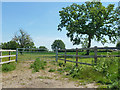 Field gate, Tyler