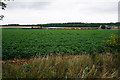 SP4018 : Potato field near Limbeck Farm by Bill Boaden