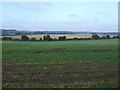 Farmland near Hill Farm