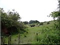 Path to Riding Barns