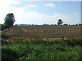 TM0367 : Farmland south of Mill Road by JThomas