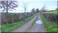 Farm track at Brinsop