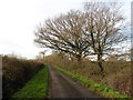 Barrington Hill Road