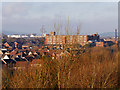 Over the Rooftops of Gigg