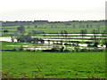 Stour water meadows