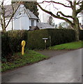 Yellow hydrant marker, Mathon Road, Colwall