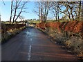 Looking along the road to North Lodge