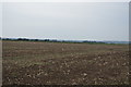 TR0729 : Flat field by N Chadwick