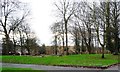 Gravestones, Chingford Mount Cemetery