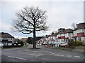 TQ3893 : Tree at the junction of Harold Road and Grove Roads by Christine Johnstone
