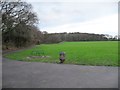 North-east entrance to Larkswood Playing Fields