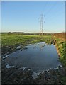 Pylon and Puddle