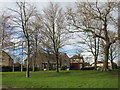 Houses and Green, Rawthorpe Lane