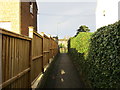 Footpath between the houses