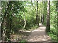 Path around Fleet Pond